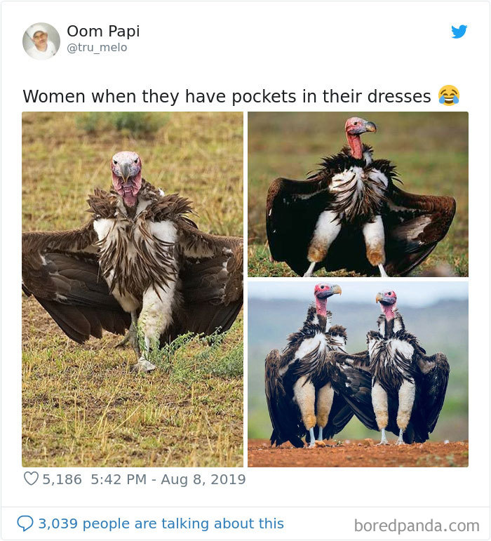 Turkey meme comparing a turkey's natural pockets to the nonexistent pockets on women's clothing
